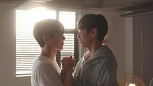 위시유 : 나의 마음속 너의 멜로디 — foto 5