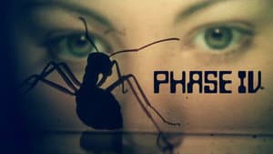 Phase IV — foto 10