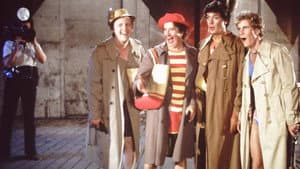 Les chiens chauds — foto 1