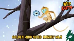 Episodio 10