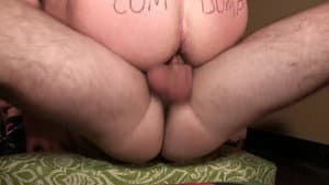 Nut Dumpster — foto 1