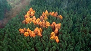 The Story of the Swastika — foto 1