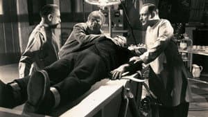 El Fantasma de Frankenstein — foto 1