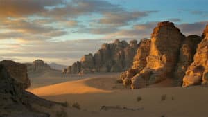 Wild Arabia — foto 4