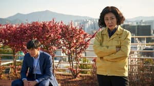 정직한 후보 2 — foto 2