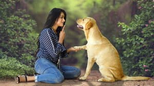 Charlie: Un perro especial — foto 9