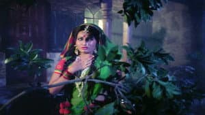 Nagin — foto 5