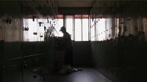 Episodio 19