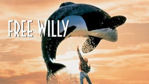 Liberen A Willy — foto 11