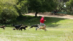 Unleashed — foto 10