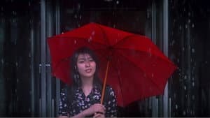四月物語 — foto 12