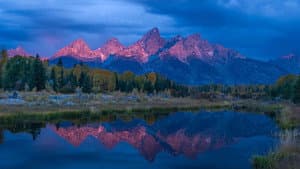 Wild Yellowstone — foto 1