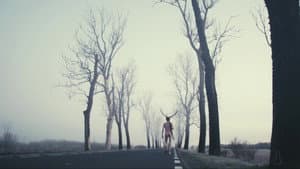 Deer Boy — foto 1