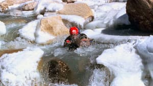 Le Nageur du Gange — foto 1