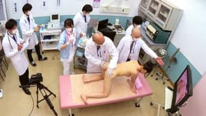 羞恥！新任ナース病棟着任前強制健康診断2021研修医の実験台にさせられた私たち — foto 1