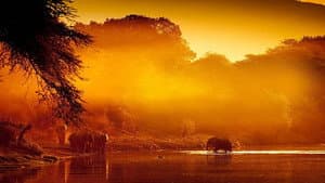 Zambezi: Force of Life — foto 1