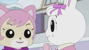 Episodio 41