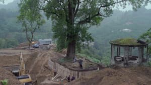 მოთვინიერება — foto 8
