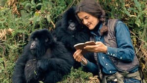 Dian Fossey: Secrets in the Mist — foto 2