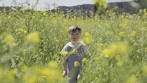 So Much Yellow — foto 1