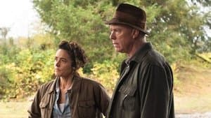 Episodio 8