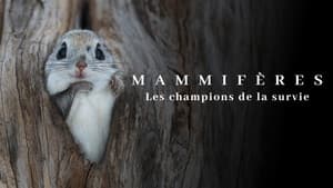 Mammifères, les champions de la survie — foto 1