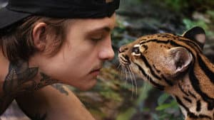 Wildcat — foto 2