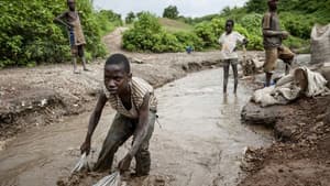 Cobalt, l'envers du rêve électrique — foto 1
