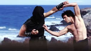 Kung Pow: El maestro de la kung fusión — foto 4