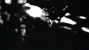 Herbie — foto 2