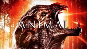 Animal — foto 7
