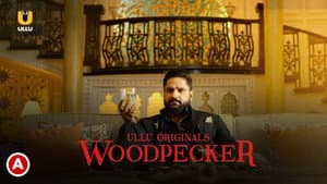 Woodpecker — foto 1