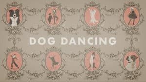 Danza con perros