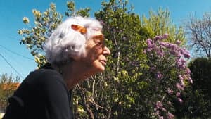 Στη χώρα των τραυμάτων — foto 3