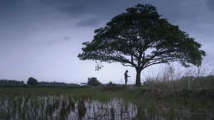 പ്രാവിൻകൂട് ഷാപ്പു — foto 3
