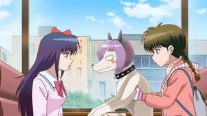 Episodio 24