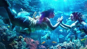 MerPeople — foto 1