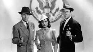 Espionage Agent — foto 2