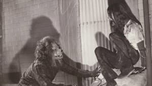 The Werewolf of Woodstock — foto 1