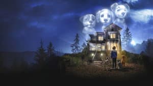 Cachorros fantasmas — foto 1