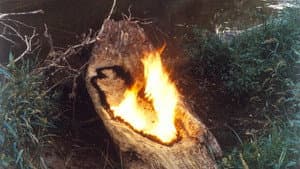 Ana Mendieta: Fuego de Tierra — foto 1