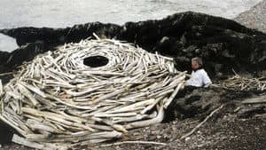 Rivers and Tides — foto 1
