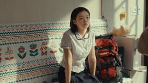 여름의 카메라 — foto 4