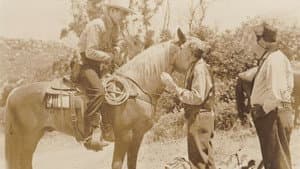 Prairie Roundup — foto 1