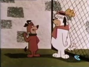 Episodio 114