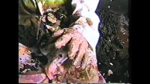 Gore Gore Gays — foto 1