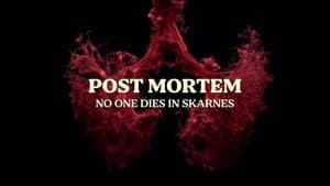 Post mortem: Nadie muere en Skarnes — foto 3