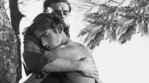 O Menino e o Vento — foto 1