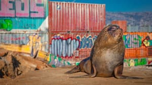 Mammals — foto 6