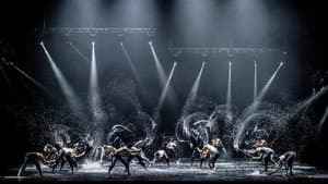 A Swan Lake — foto 1